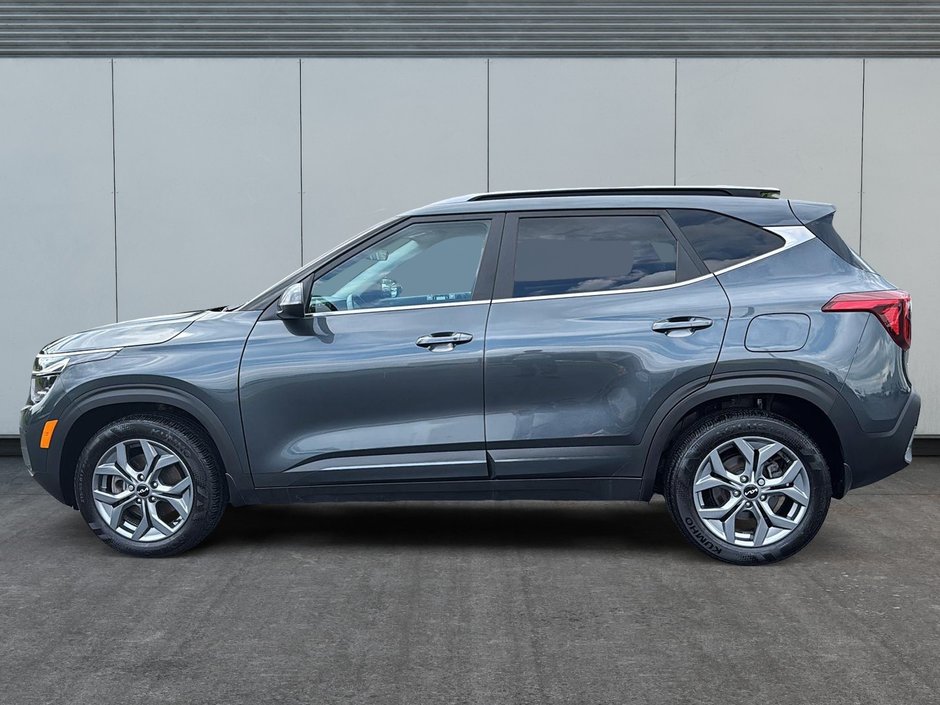 Kia SELTOS EX AWD  2024 APPLE CAR PLAY - ANDROID AUTO