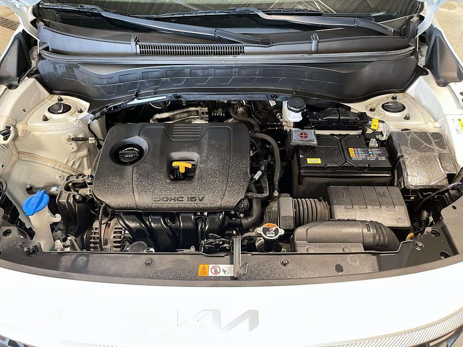 Kia Seltos LX 2024-7