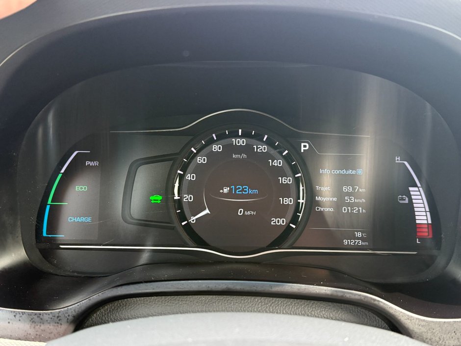 Hyundai Ioniq Electric Preferred 2019-18