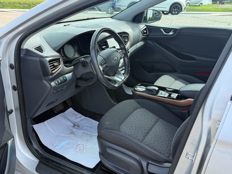 Hyundai Ioniq Electric Preferred 2019-11