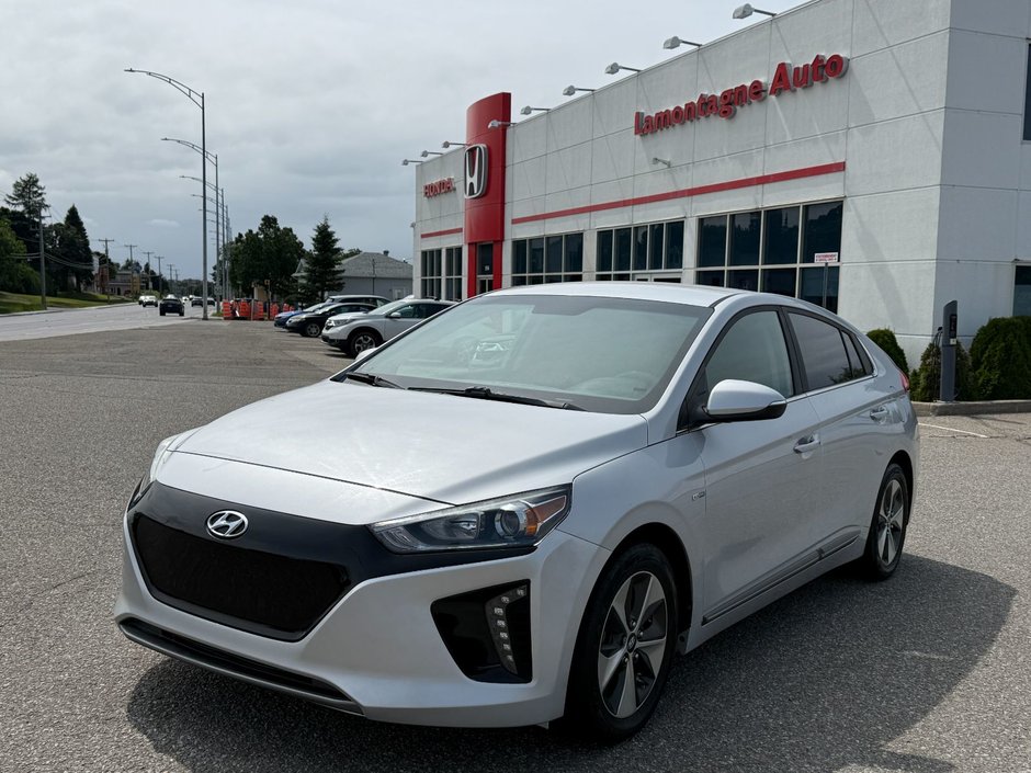 Hyundai Ioniq Electric Preferred 2019-0