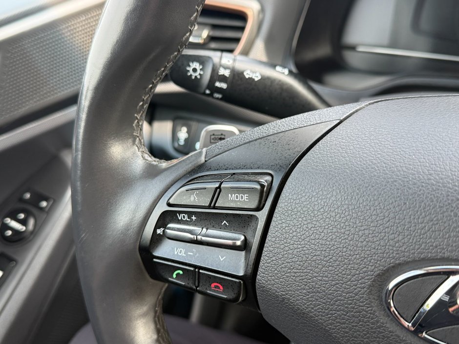 Hyundai Ioniq Electric Preferred 2019-13