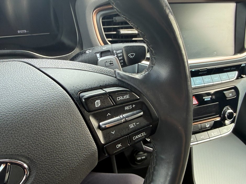 Hyundai Ioniq Electric Preferred 2019-14