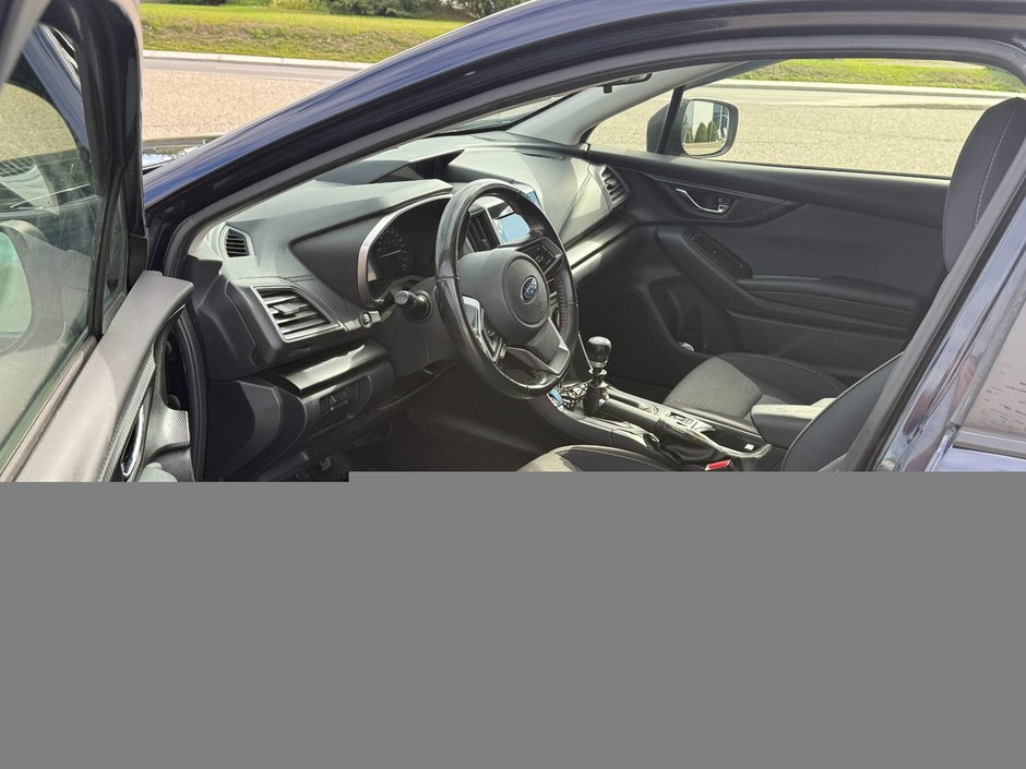 Subaru Crosstrek Touring 2020-10