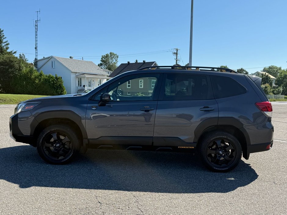 2024 Subaru Forester Wilderness-9