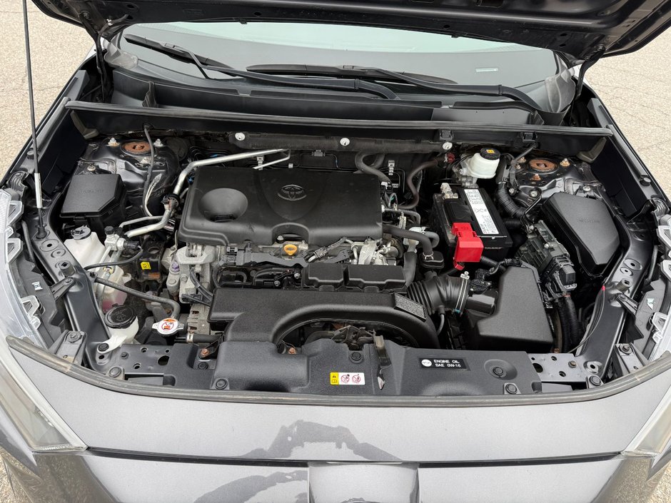 Toyota RAV4 LE 2019-2