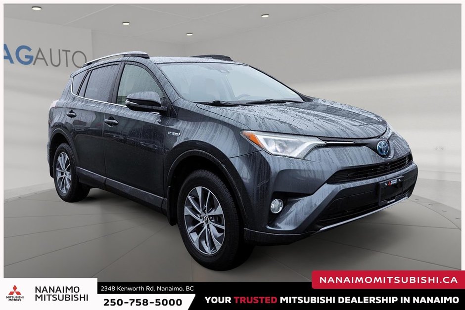 2018 Toyota RAV4 Hybrid LE+-1