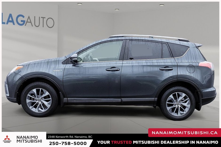 2018 Toyota RAV4 Hybrid LE+-3