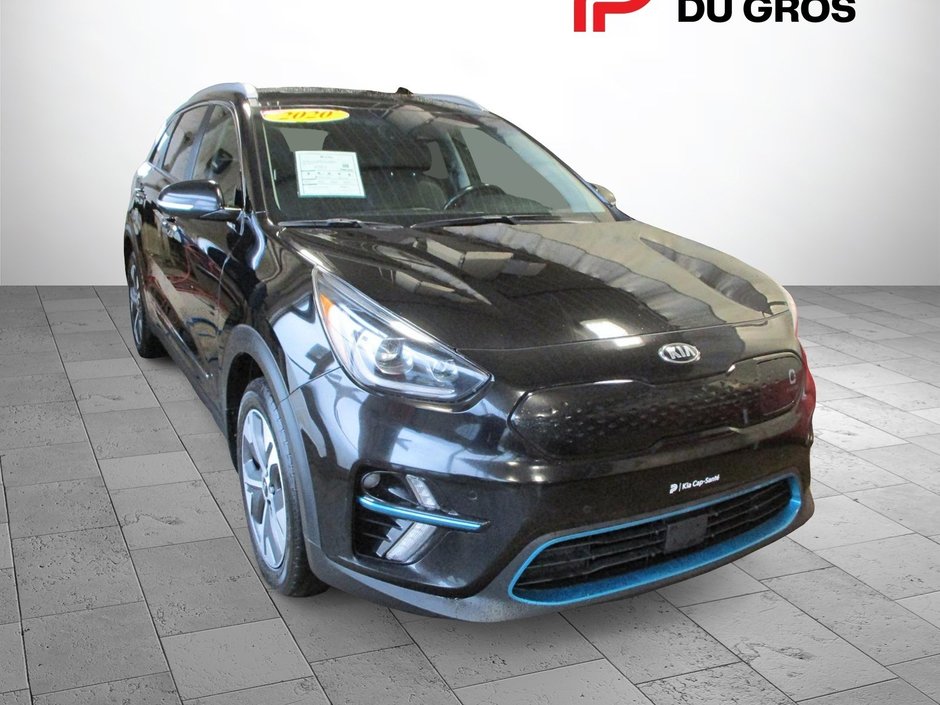 2020 kia niro on sale ev sx touring