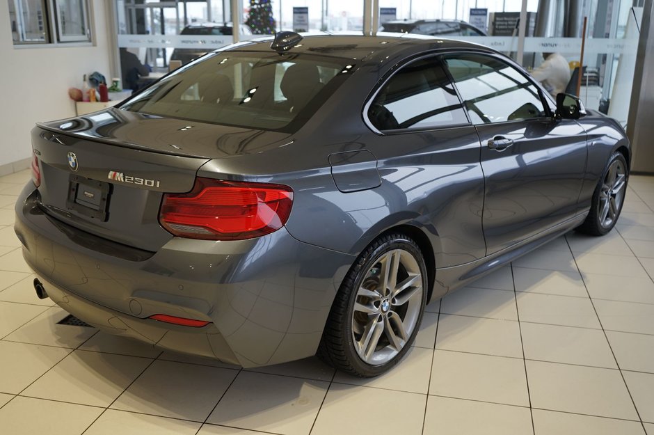 2018 BMW 2 Series 230i xDrive-6