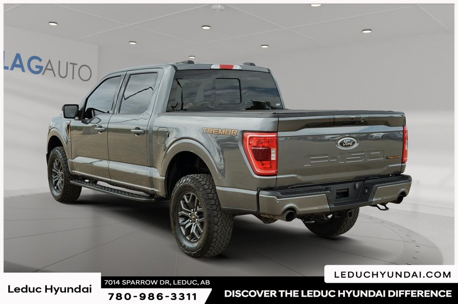 2023 Ford F-150 Tremor-3