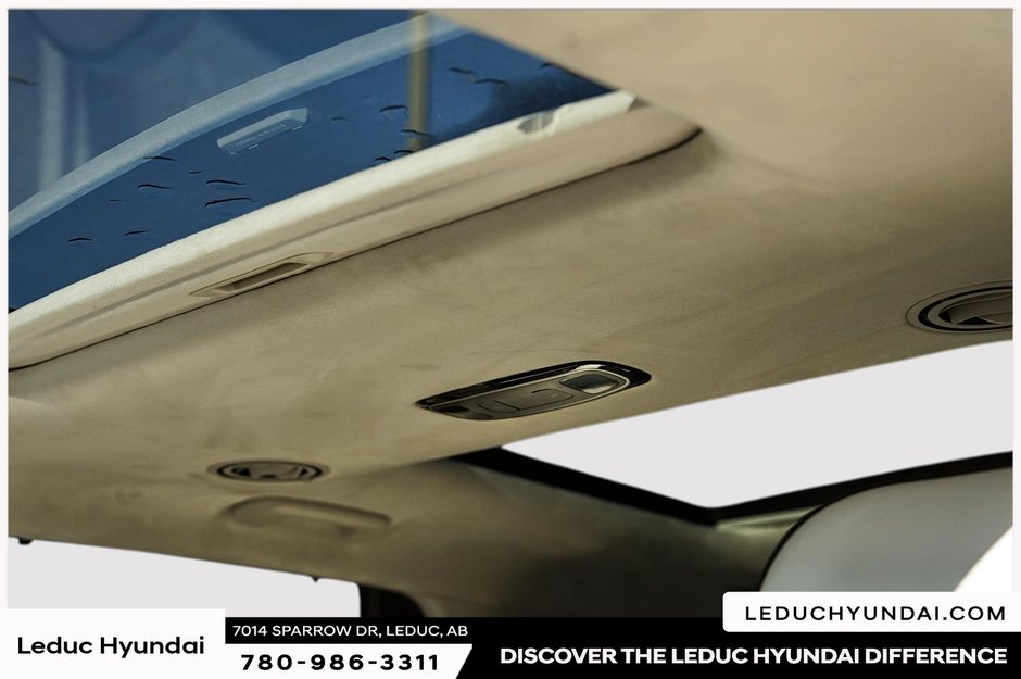 2023 Hyundai Palisade Ultimate Calligraphy-14