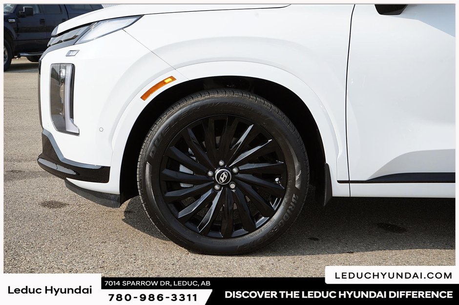2025 Hyundai Palisade Ultimate-7