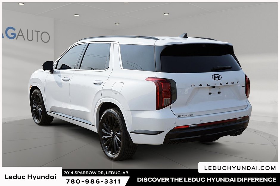 2025 Hyundai Palisade Ultimate-3