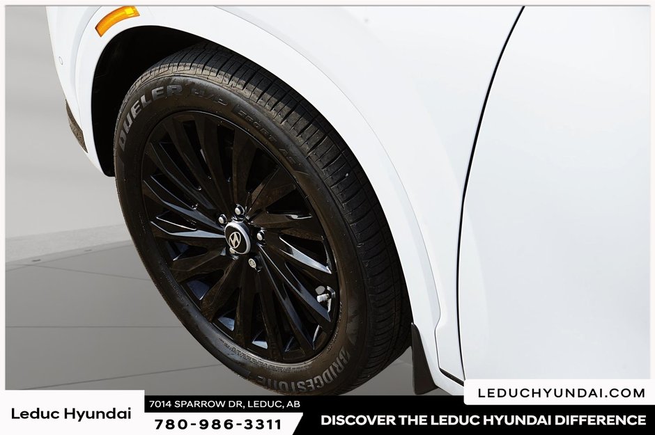2025 Hyundai Palisade Ultimate-6