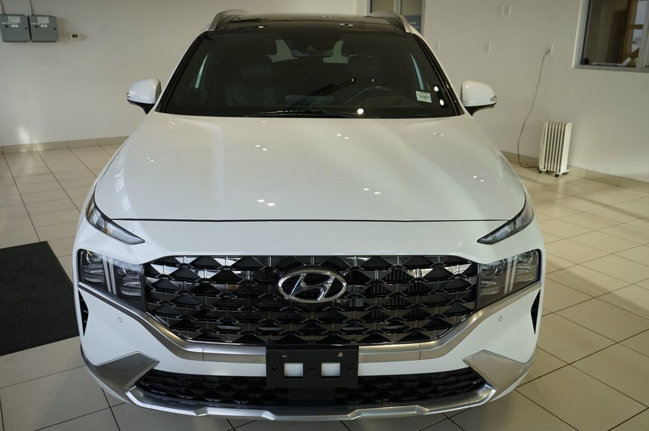 2022 Hyundai Santa Fe Ultimate Calligraphy-8