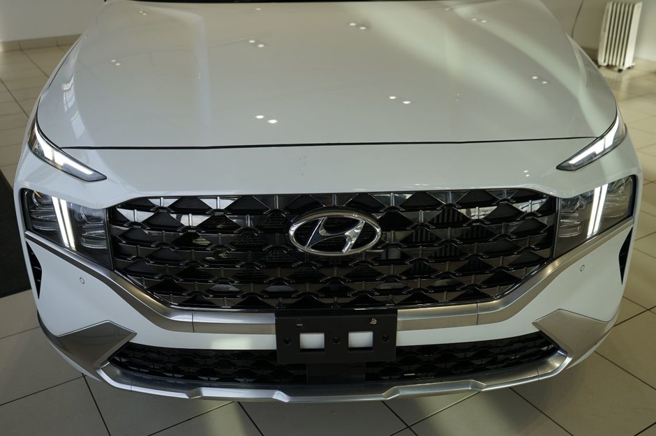 2022 Hyundai Santa Fe Ultimate Calligraphy-28