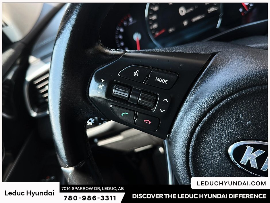 2017 Kia Sorento EX-14