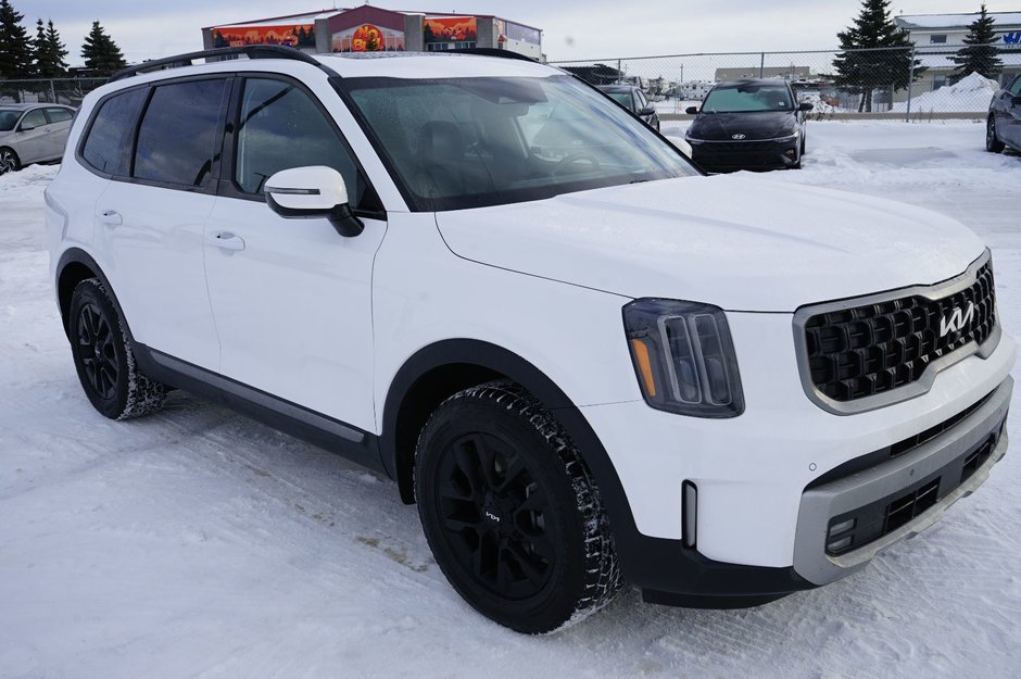 2023 Kia Telluride X-Pro-32