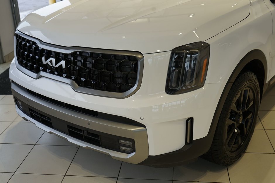 2023 Kia Telluride X-Pro-31