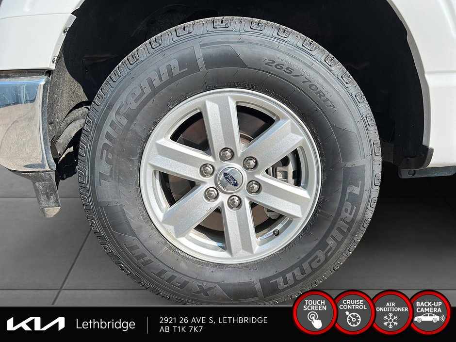 2023 Ford F-150 XLT-6