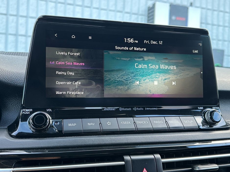 Kia Seltos SX Turbo 2022-29