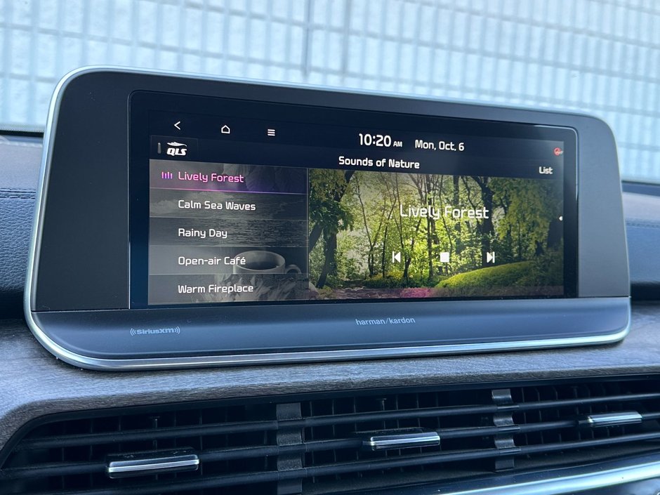 2021 Kia Telluride SX Limited-47