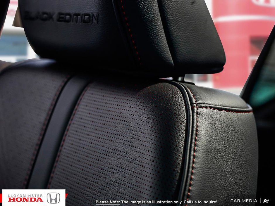 2025 Honda Pilot BLACK EDITION-19