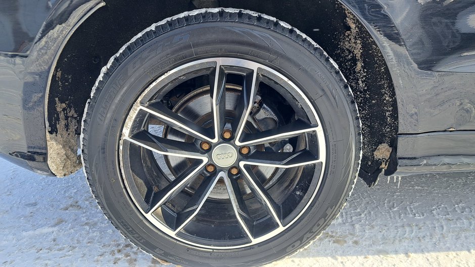 Audi SQ5 3.0T Progressiv 2016-24