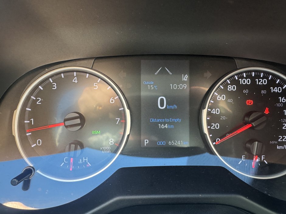 Toyota RAV4 LE 2022-18