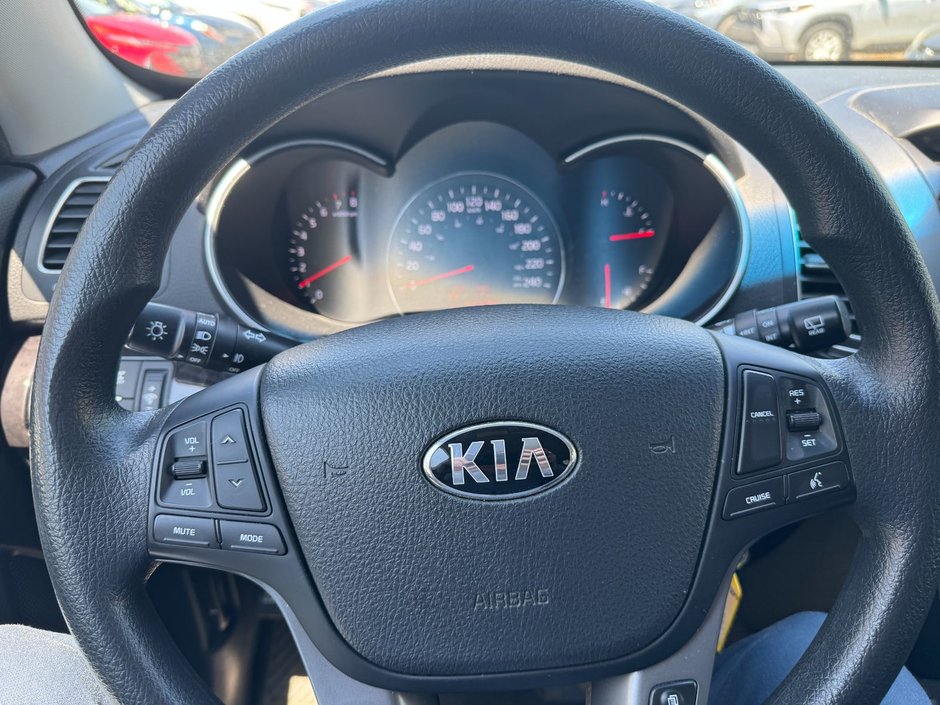 2014 Kia Sorento-18