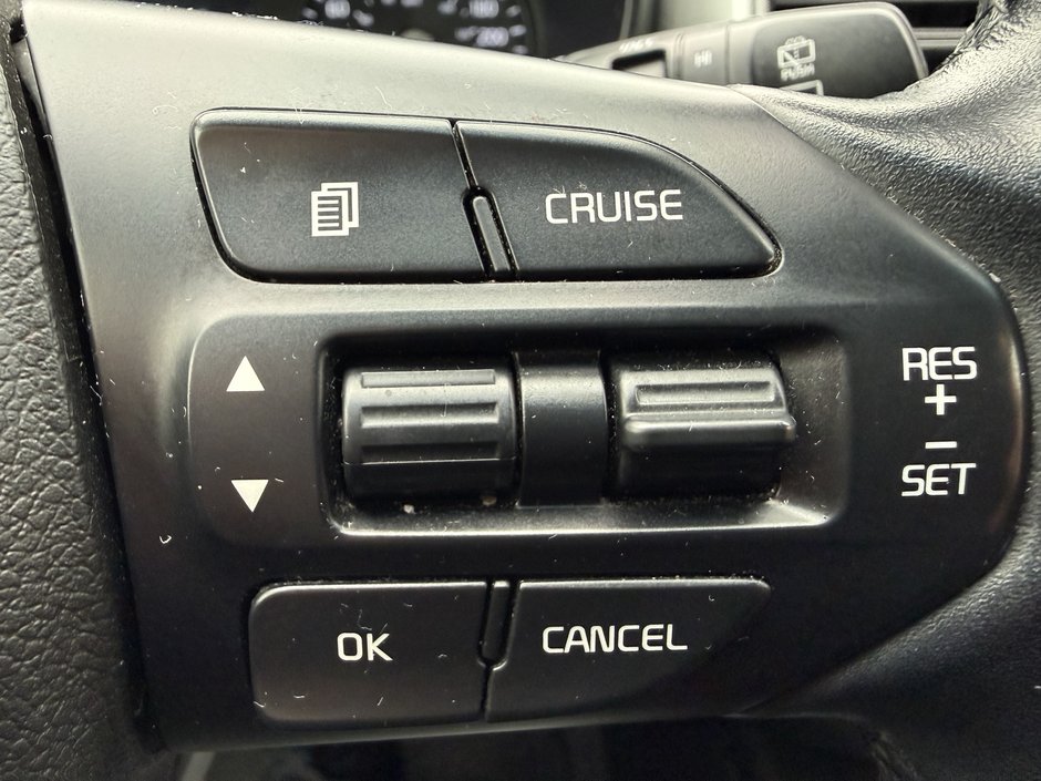 2016 Kia Sorento 2.0L Turbo LX+-17