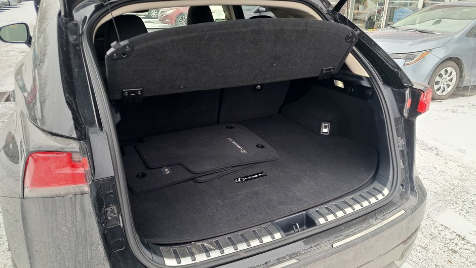 2019 Lexus NX 300h-35