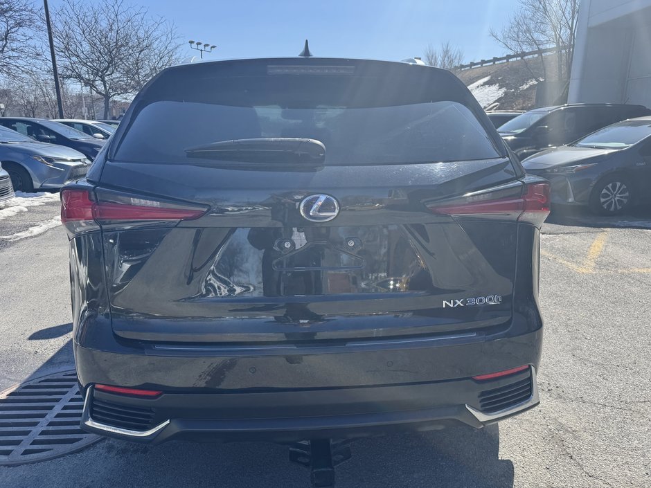 Lexus NX 300h 2019-3