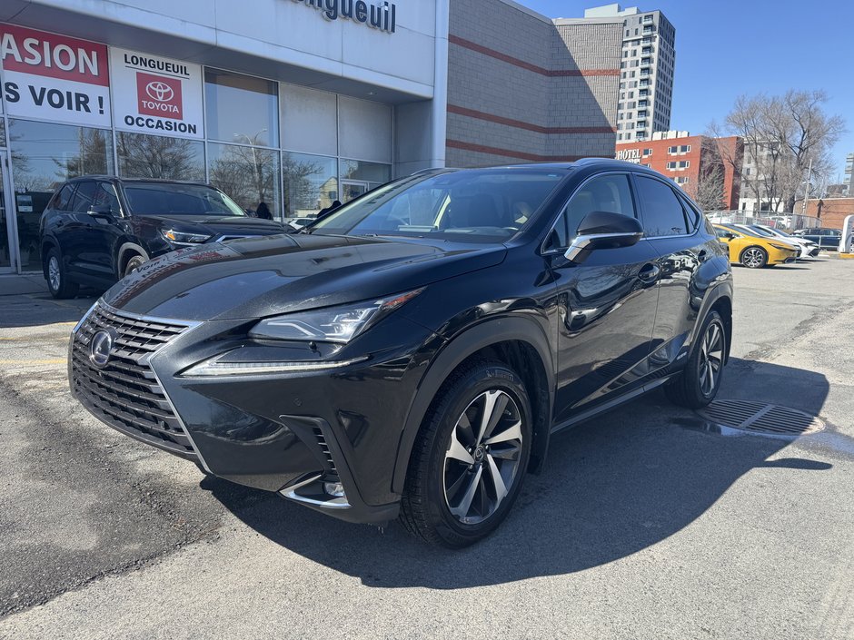 Lexus NX 300h 2019-0