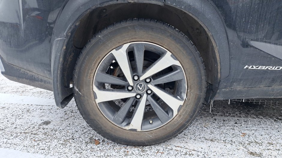 2019 Lexus NX 300h-38