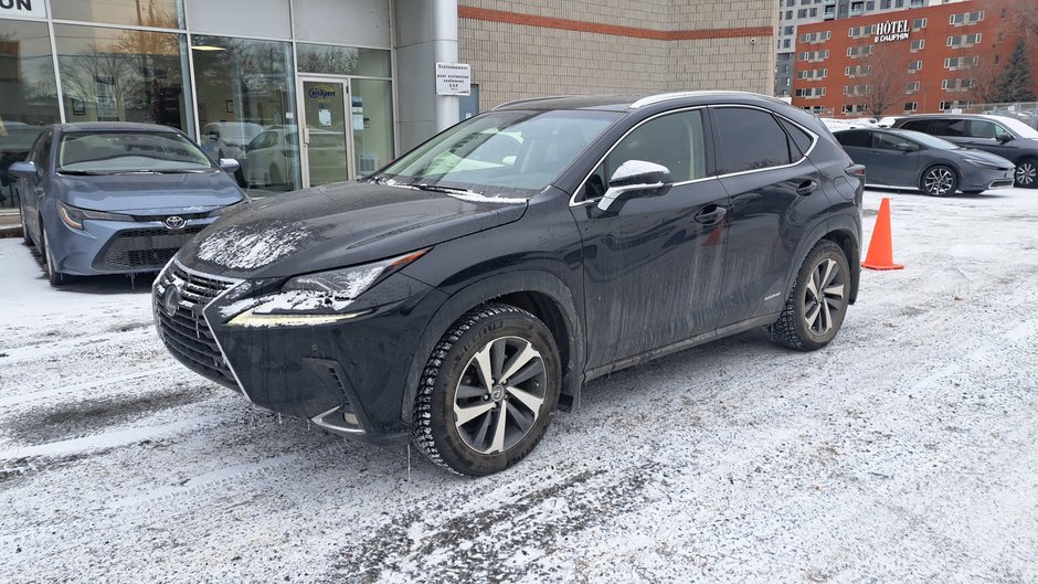 2019 Lexus NX 300h-0