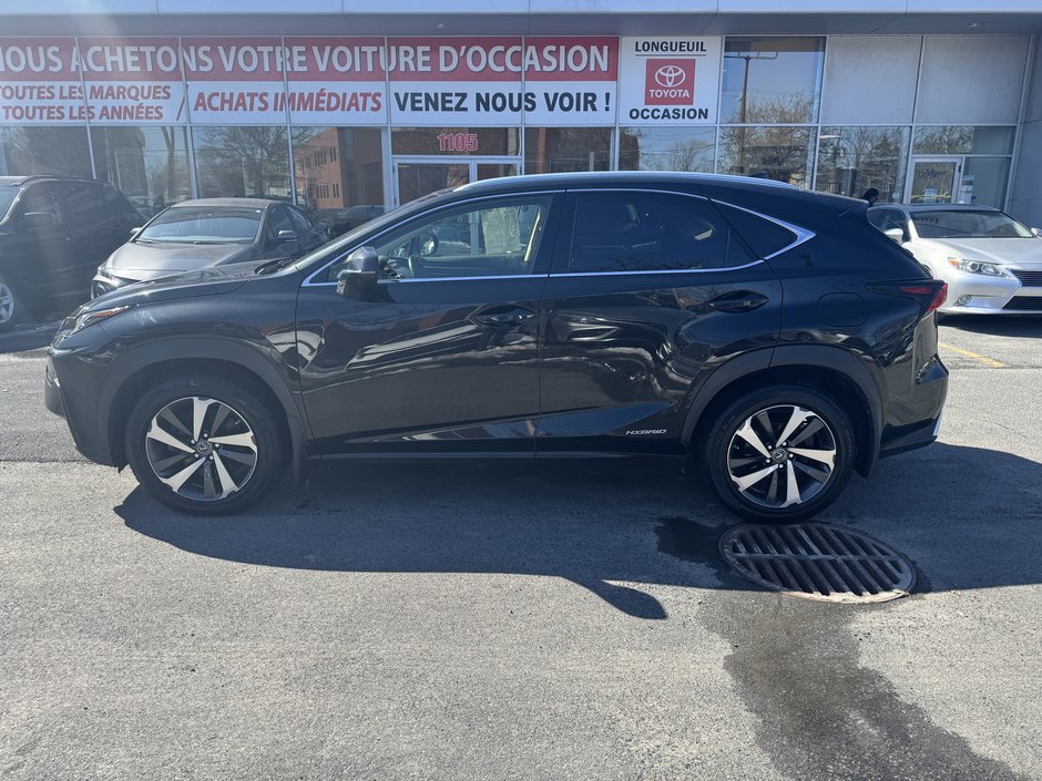 Lexus NX 300h 2019-1