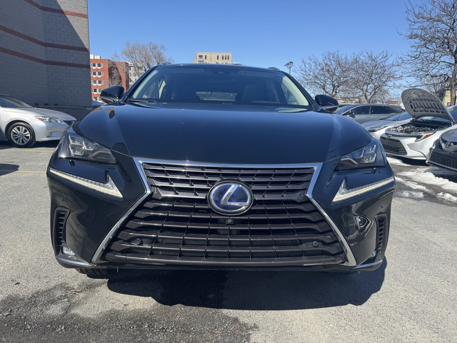 Lexus NX 300h 2019-7