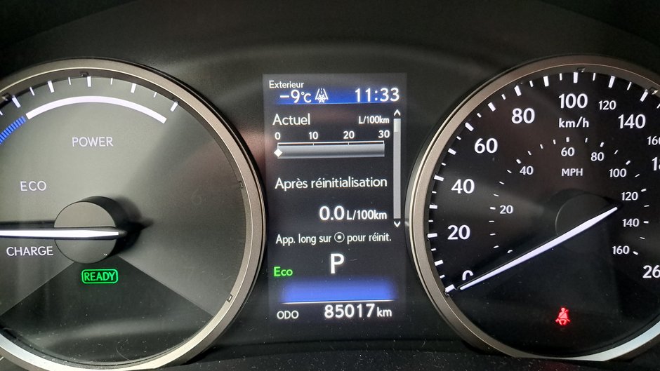 2019 Lexus NX 300h-11