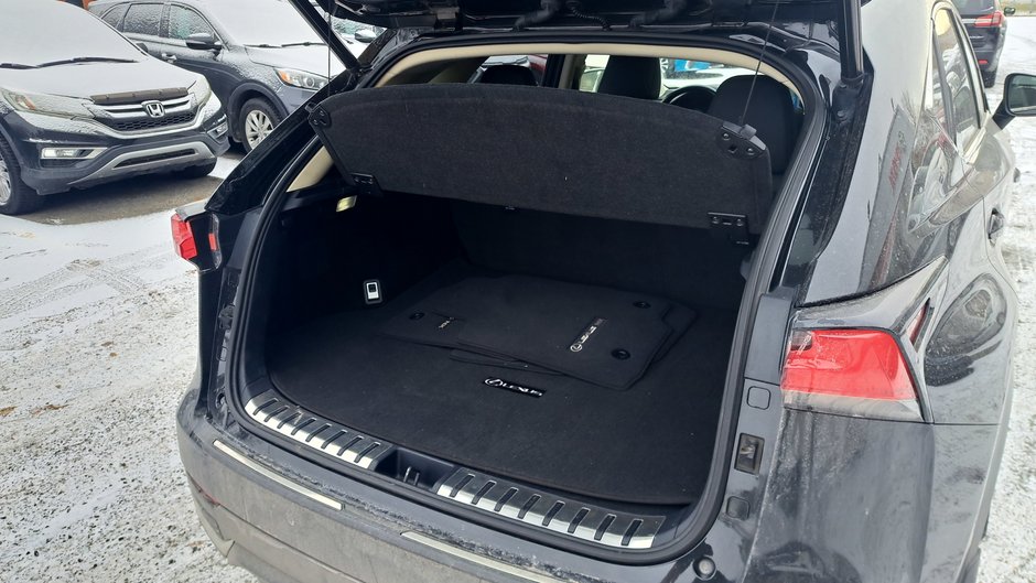 2019 Lexus NX 300h-36