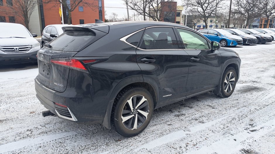 2019 Lexus NX 300h-3