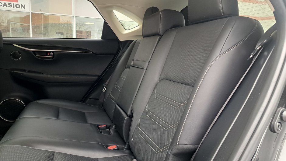 2019 Lexus NX 300h-30