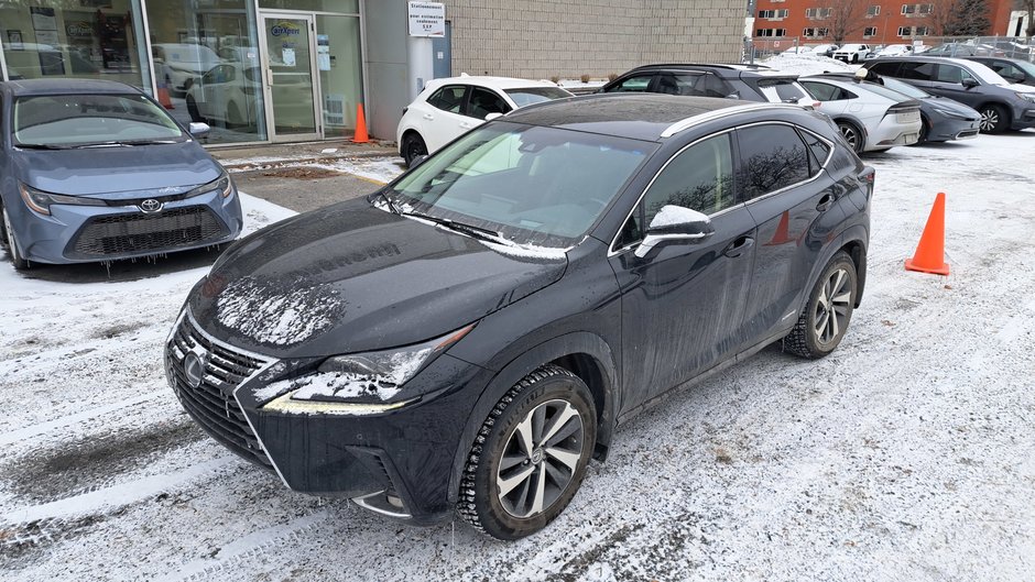 2019 Lexus NX 300h-41