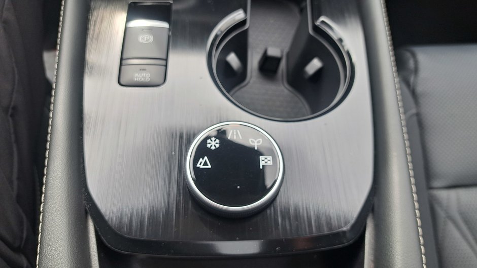 2024 Nissan Rogue Platinum-27