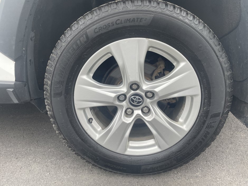 2019 Toyota RAV4 Hybrid LE-13