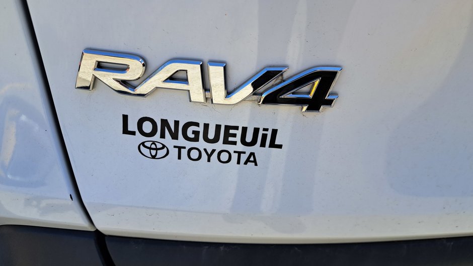 2019 Toyota RAV4 LE-27