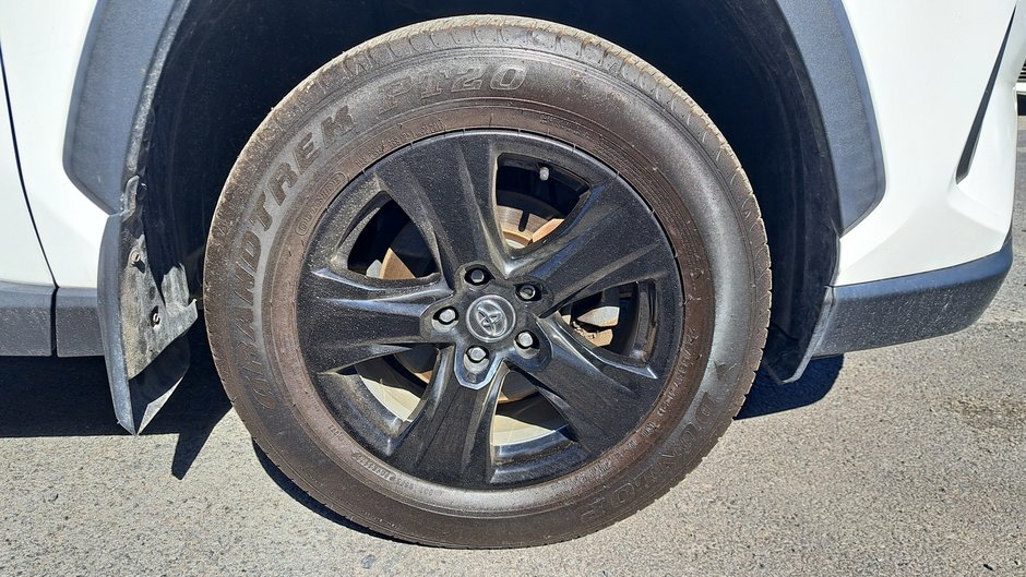 2019 Toyota RAV4 LE-30