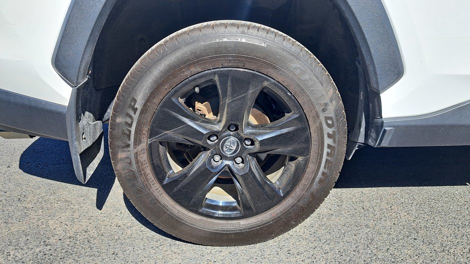 2019 Toyota RAV4 LE-29