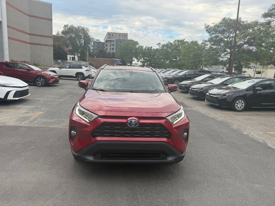 2020 Toyota RAV4 Hybrid XLE-7
